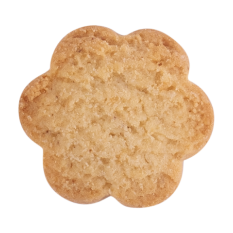 Biscutin Briccodolce